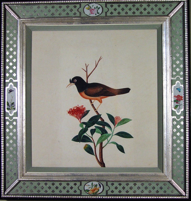 The watercolou painting are painted on English paper watermarked J Whatman, interstingly the same maker of paper used by Audubon.  These watercolours are of a large format with  églomisé and decoupage frames.