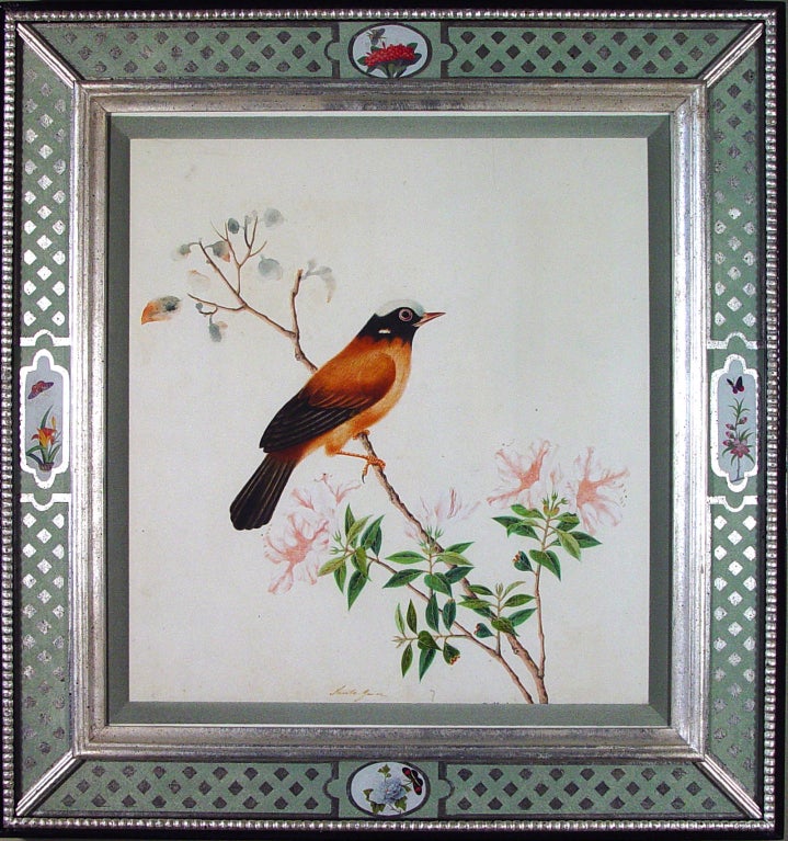 Chinese A Pair of Large China Trade Watercolours of Birds