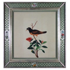 Antique A Pair of Large China Trade Watercolours of Birds