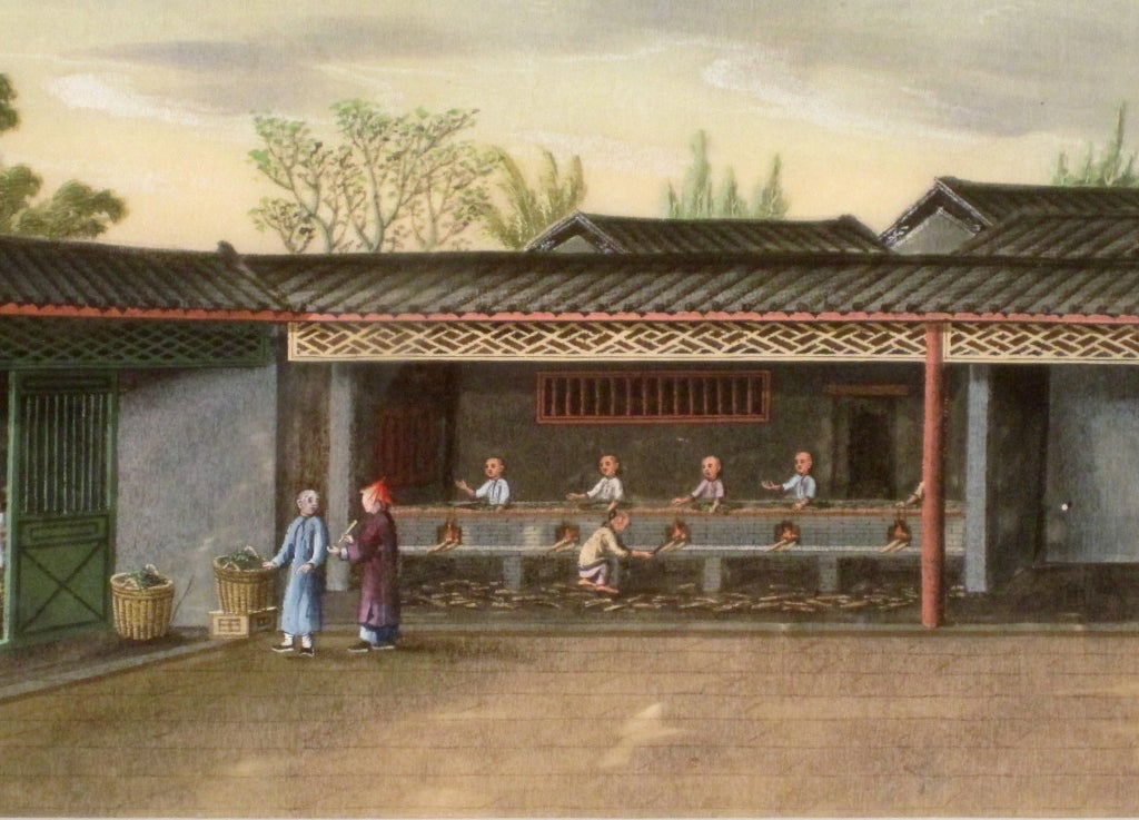 Twelve Chinese Painting of Tea Cultivation and Processing In Good Condition In Downingtown, PA