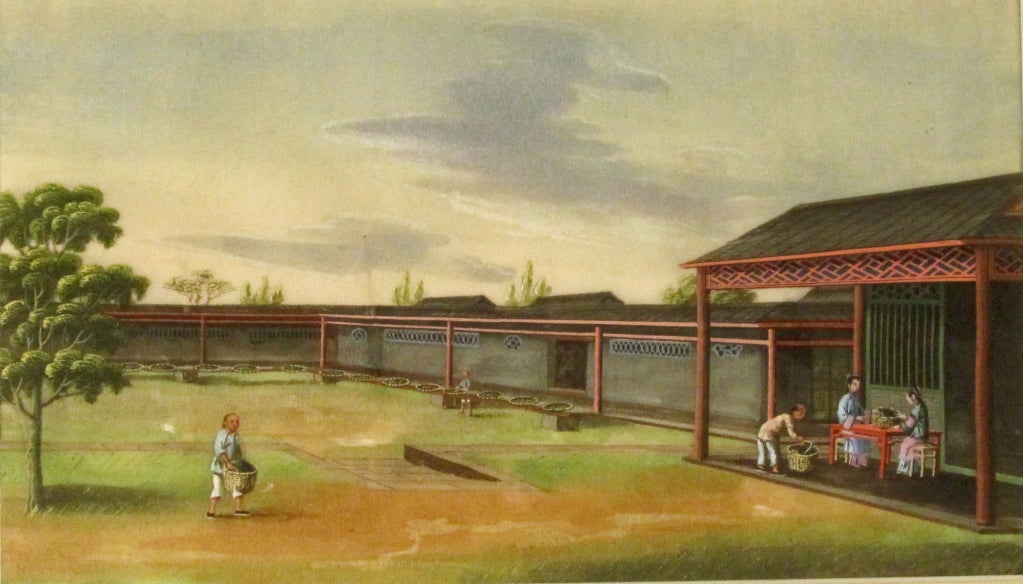 Twelve Chinese Painting of Tea Cultivation and Processing 2