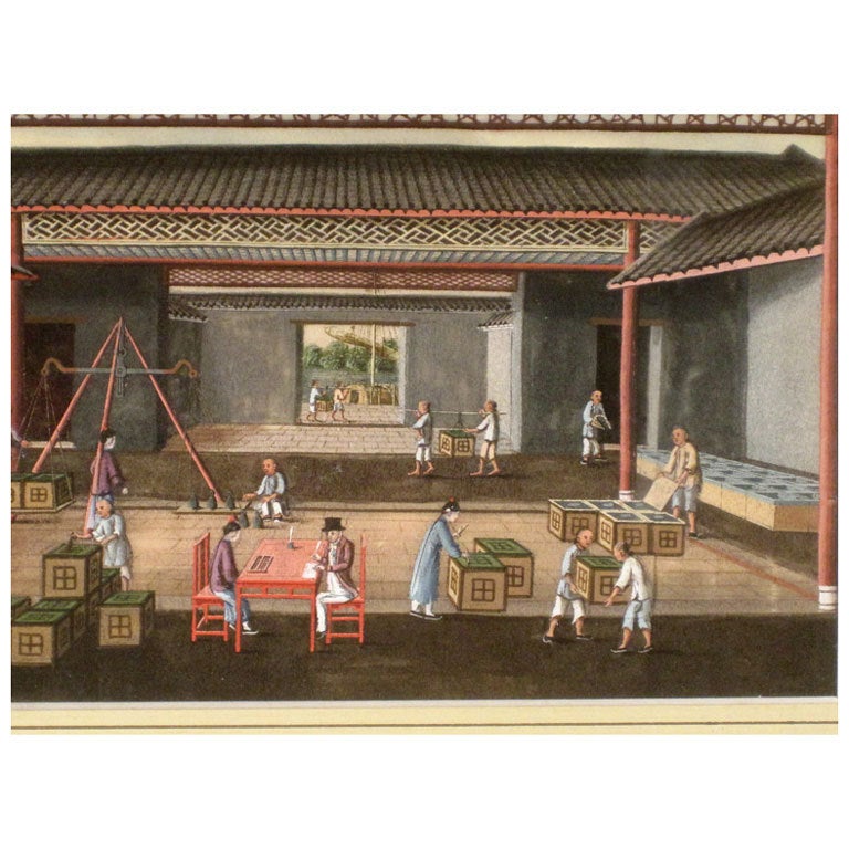 Twelve Chinese Painting of Tea Cultivation and Processing