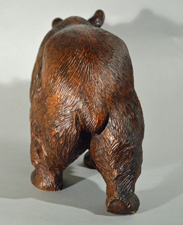 A Black Forest Carved Bear 3