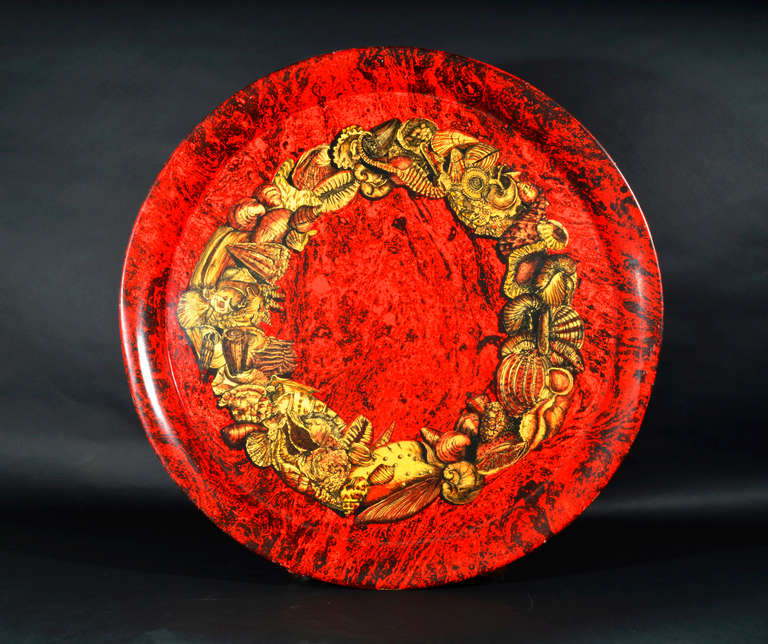 Large Sea Shell Decorated Piero Fornasetti Tray