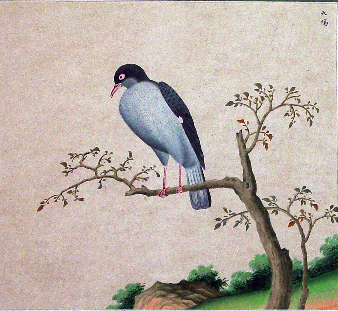 Chinese Export Watercolor Exotic Bird Paintings On Paper For Sale