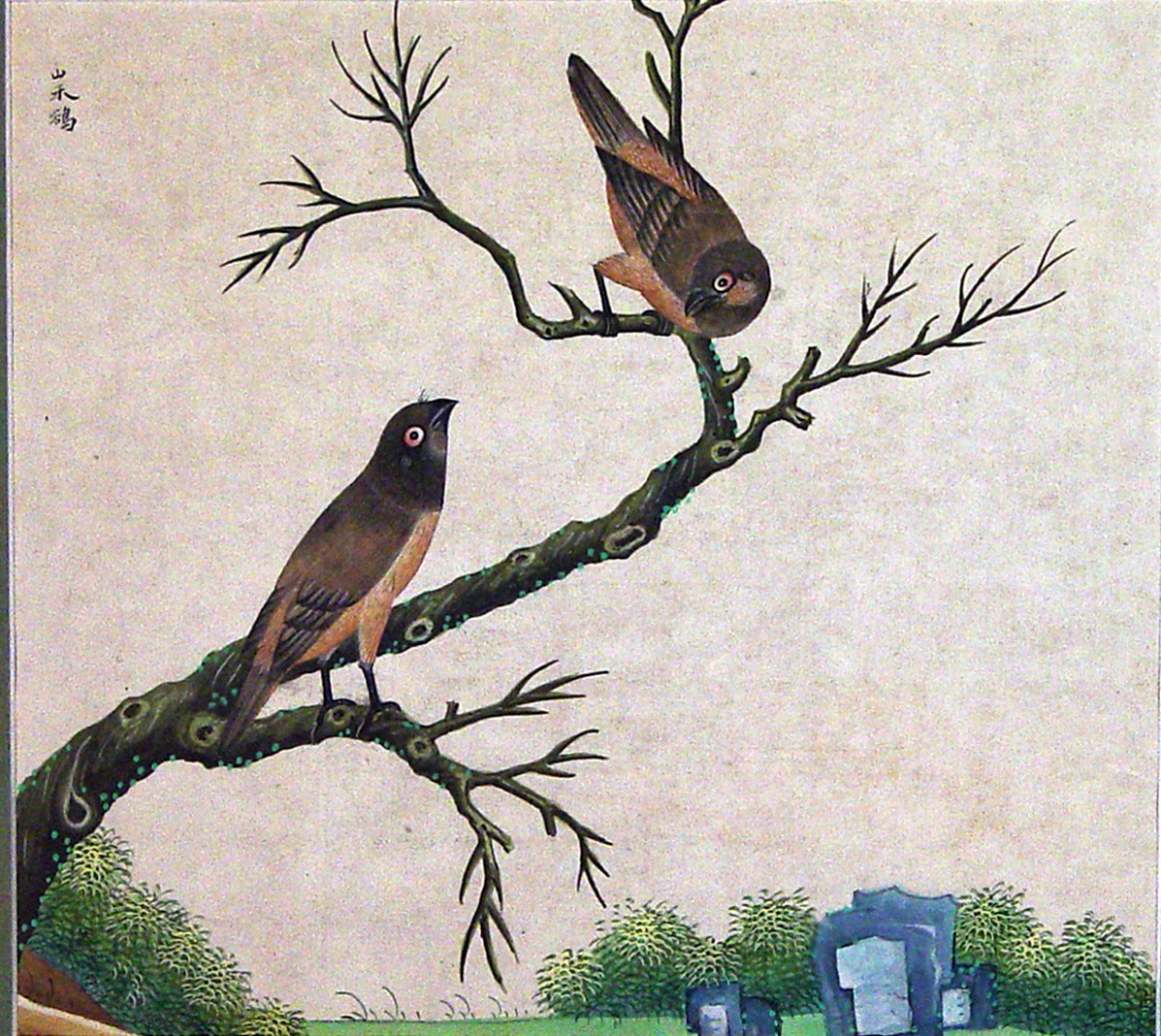 Chinesische Export-Aquarell-Exotische Vogelgemälde auf Papier (Chinesischer Export) im Angebot