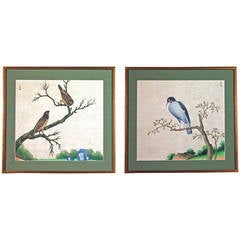 Chinese Export Watercolour Exotic Bird Paintings on Paper. 4