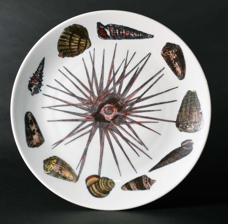Conchiglie Pattern,

Piero Fornasetti's whimsical and colourful Conchiglie pattern features a different sea creature filling the center well of each plate, surrounded by assorted sea animals, shells, mollusks and fishes. While many of the