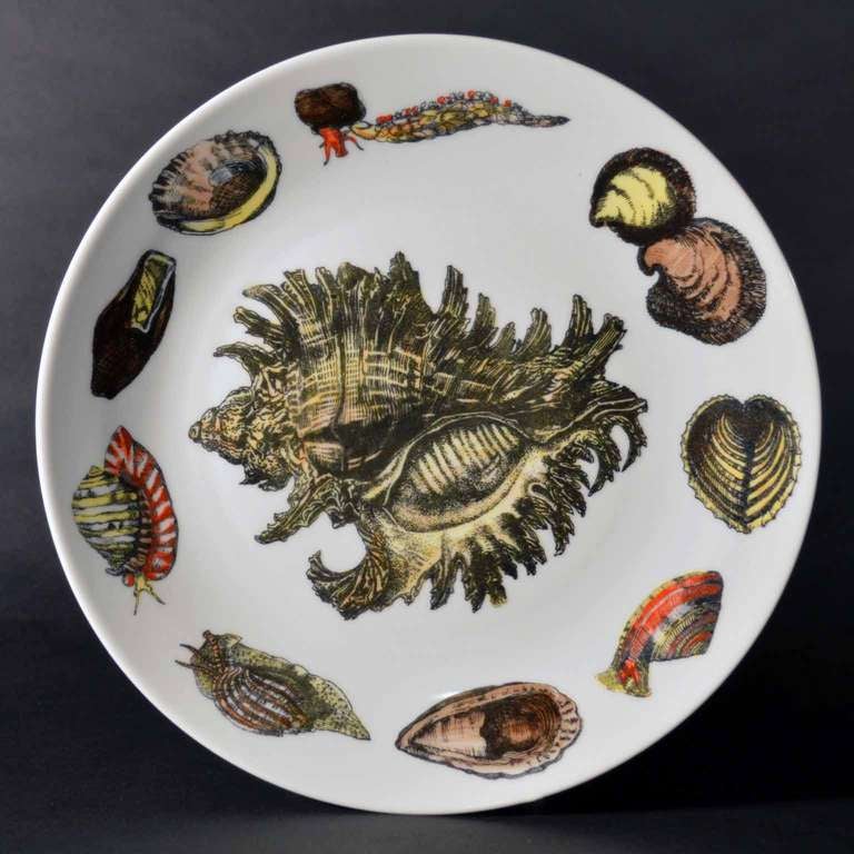Eight Rare Piero Fornasetti Dishes Decorated with Sea Anemones, Urchins & Shells 1