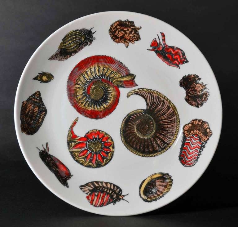 Eight Rare Piero Fornasetti Dishes Decorated with Sea Anemones, Urchins & Shells 2
