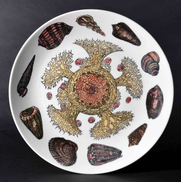 Mid-Century Modern Eight Rare Piero Fornasetti Dishes Decorated with Sea Anemones, Urchins & Shells