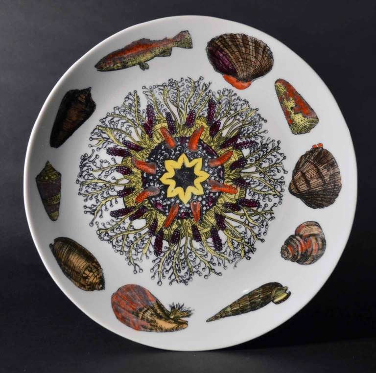 20th Century Eight Rare Piero Fornasetti Dishes Decorated with Sea Anemones, Urchins & Shells