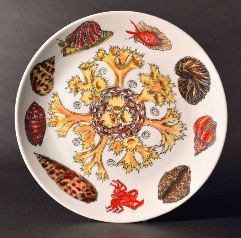 Italian Eight Rare Piero Fornasetti Dishes Decorated with Sea Anemones, Urchins & Shells
