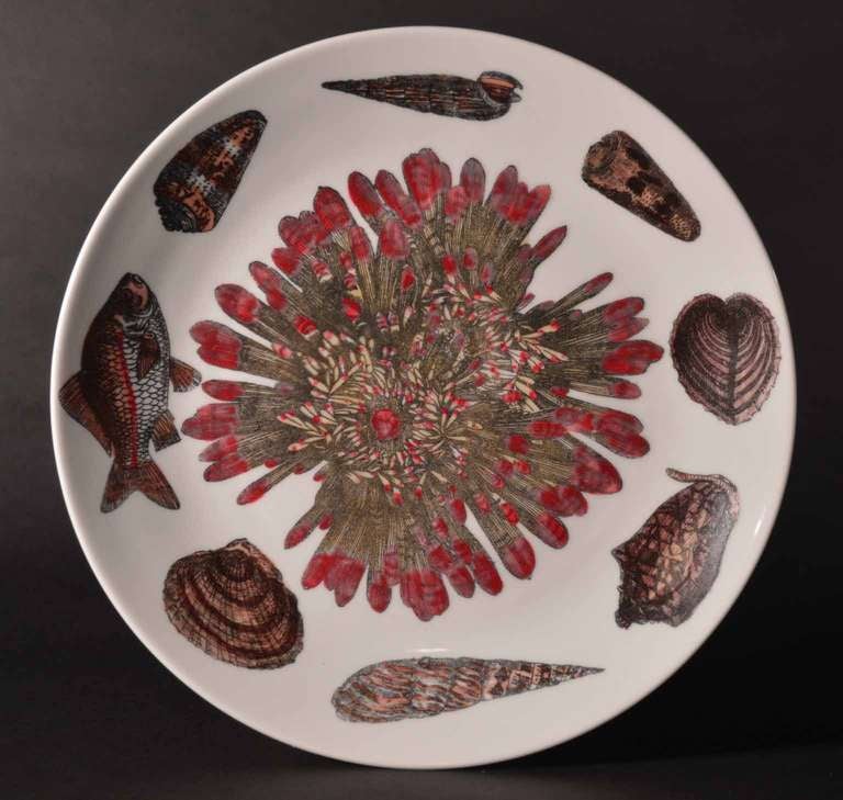 Eight Rare Piero Fornasetti Dishes Decorated with Sea Anemones, Urchins & Shells 3
