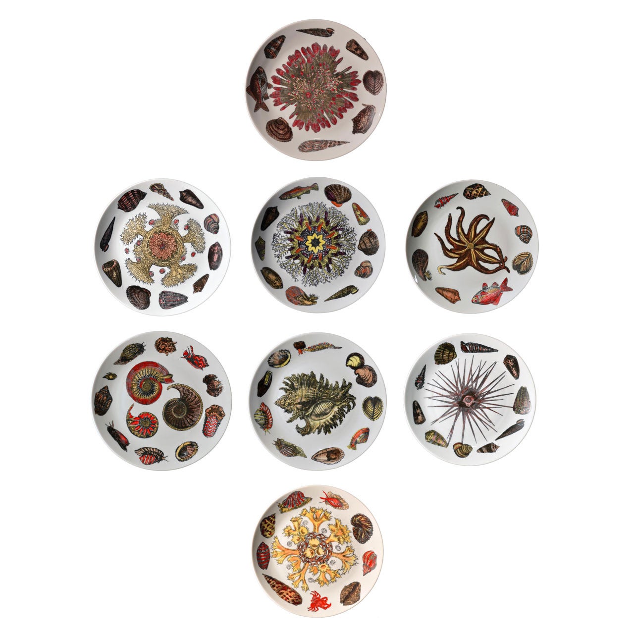 Eight Rare Piero Fornasetti Dishes Decorated with Sea Anemones, Urchins & Shells