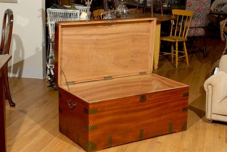 19th Century Camphor Coffer For Sale 4