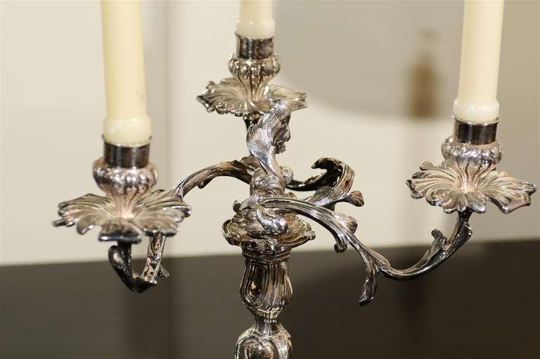 Pair of Rococo Style Candelabra 4