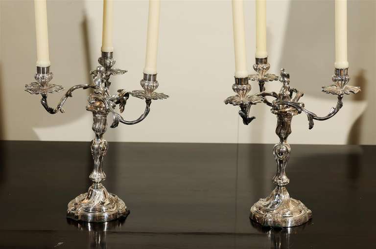 This pair of candelabra is wonderful in that it can be three armed or single.
They are silver-plate in the Rococo style.