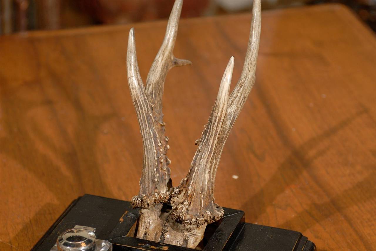 Handsome Antler Ink Stand In Good Condition In Atlanta, GA