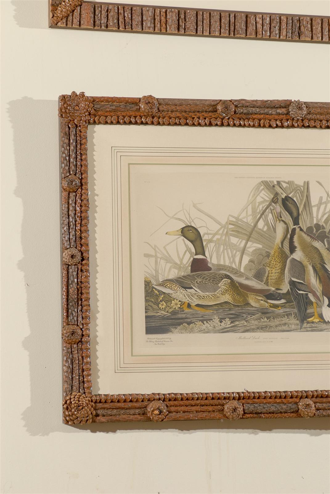 Paper Audubon Print in Hand-Crafted Pine Cone and Bark Frame