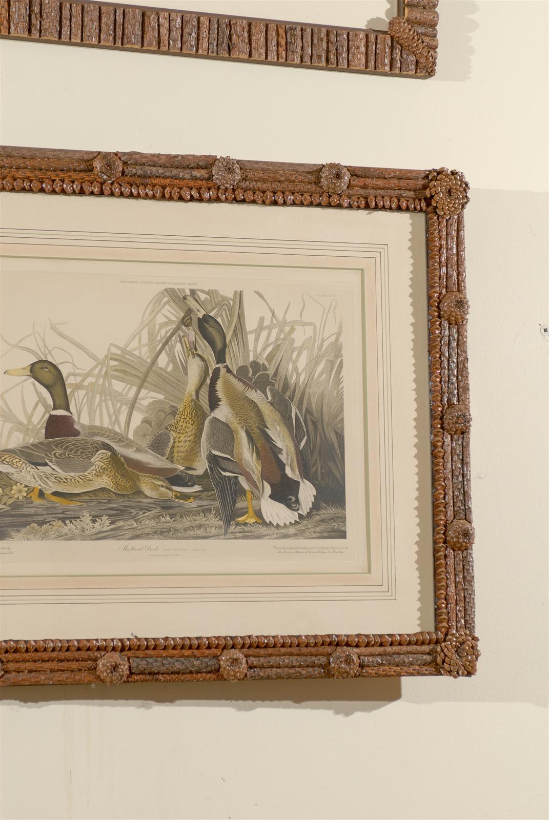 Contemporary Audubon Print in Hand-Crafted Pine Cone and Bark Frame