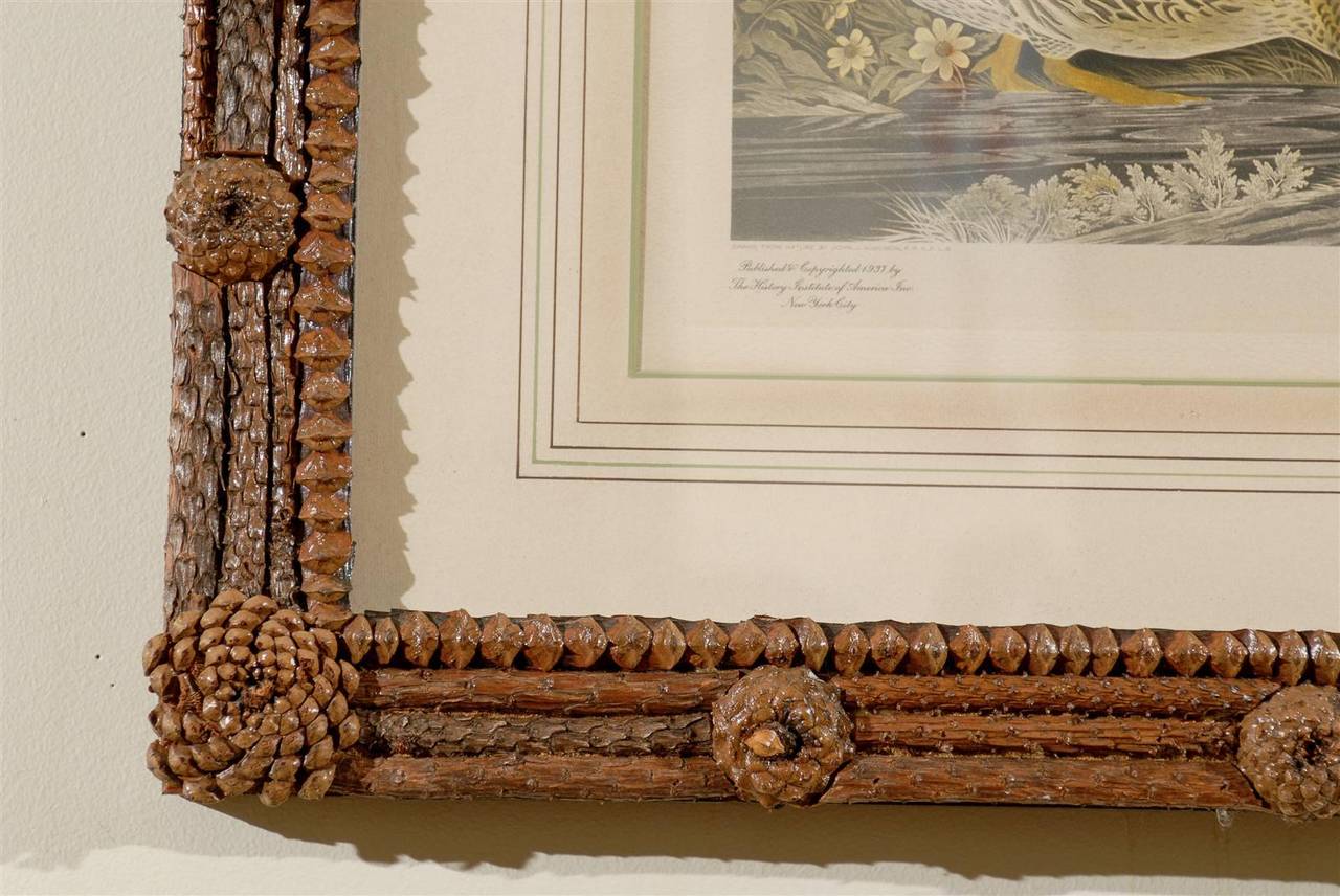 Audubon Print in Hand-Crafted Pine Cone and Bark Frame In Excellent Condition In Atlanta, GA