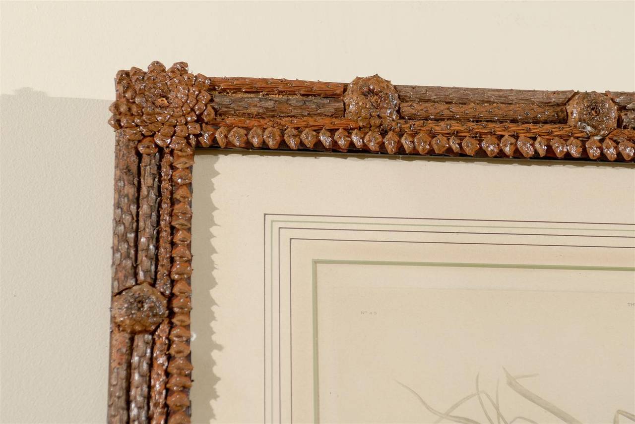 American Audubon Print in Hand-Crafted Pine Cone and Bark Frame