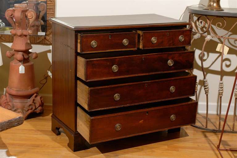 British 19th Century English Mahogany Chest