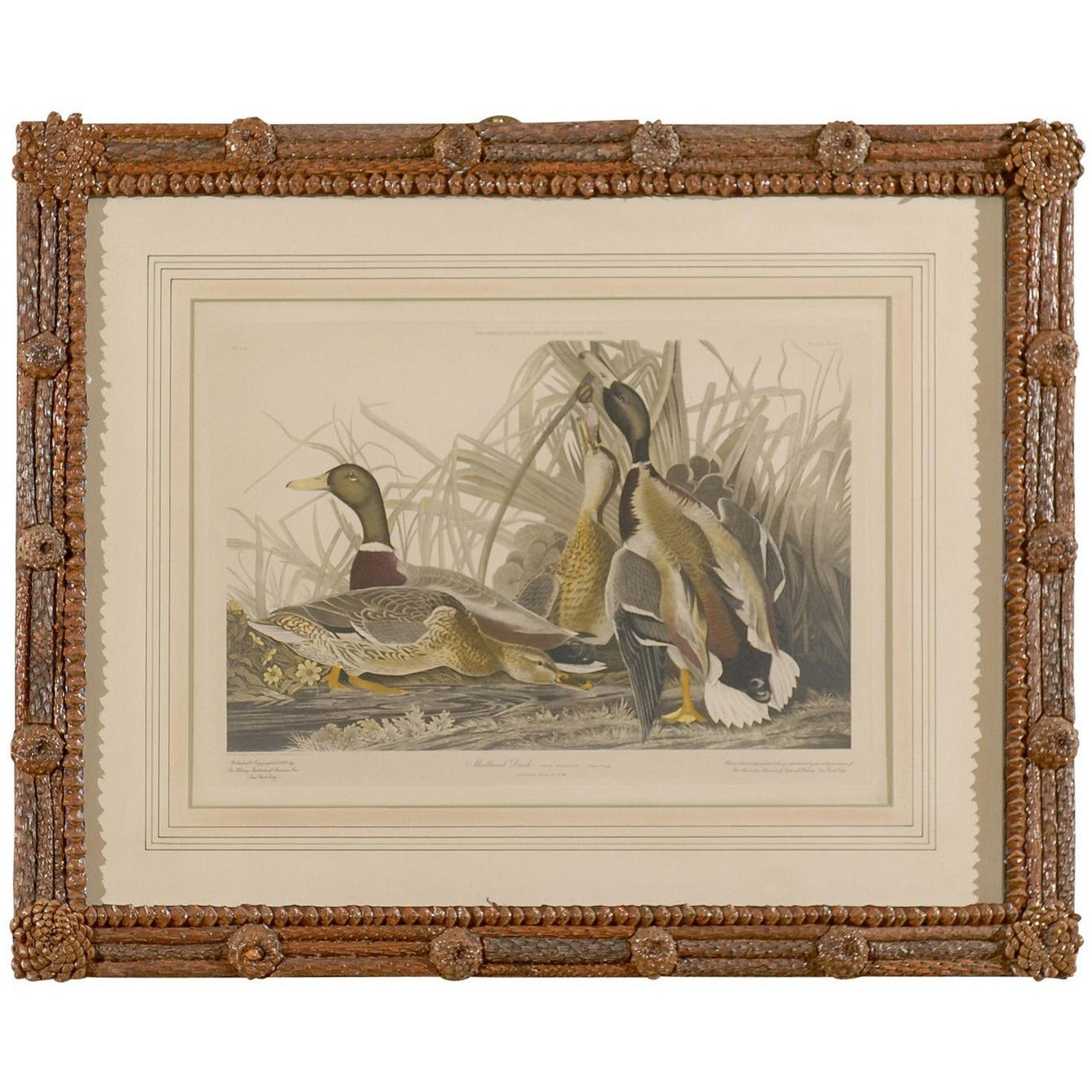 Audubon Print in Hand-Crafted Pine Cone and Bark Frame