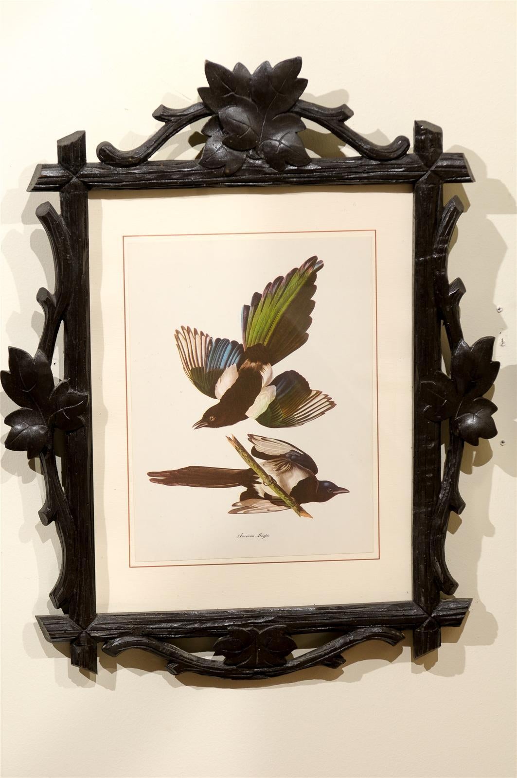 Fabulous Black Forest Framed Bird Prints 2