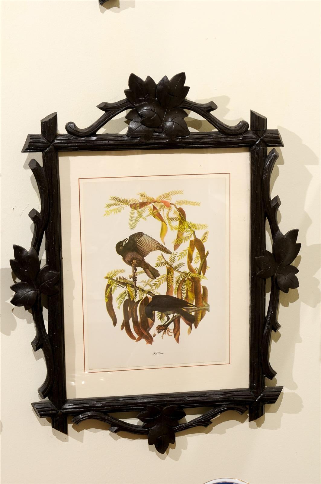 Fabulous Black Forest Framed Bird Prints 1