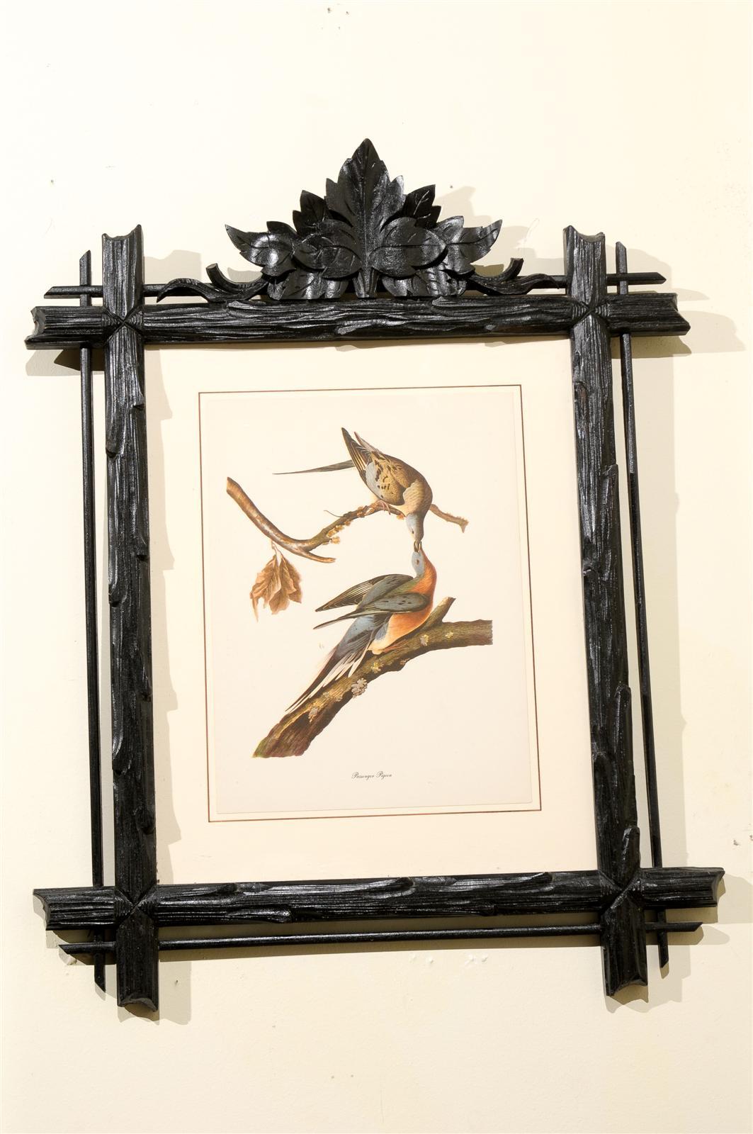 Glass Fabulous Black Forest Framed Bird Prints