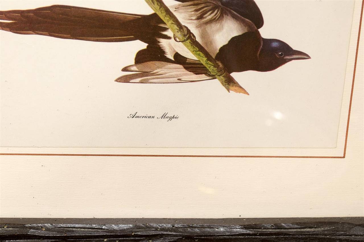 Fabulous Black Forest Framed Bird Prints In Good Condition In Atlanta, GA