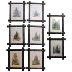 Antique Late 19th Century Lithographs of Pine Trees with Frames in Custom Tramp Art