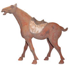Tang Dynasty terra cotta horse with saddle.