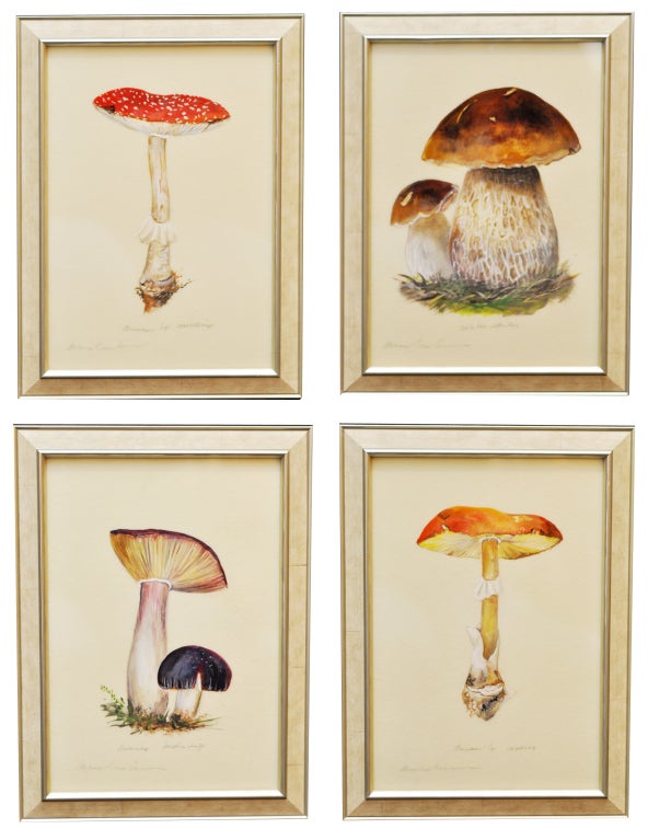 Botanical Works of Mushrooms by Artist Anna Chiara Branca In Excellent Condition In Palm Beach, FL
