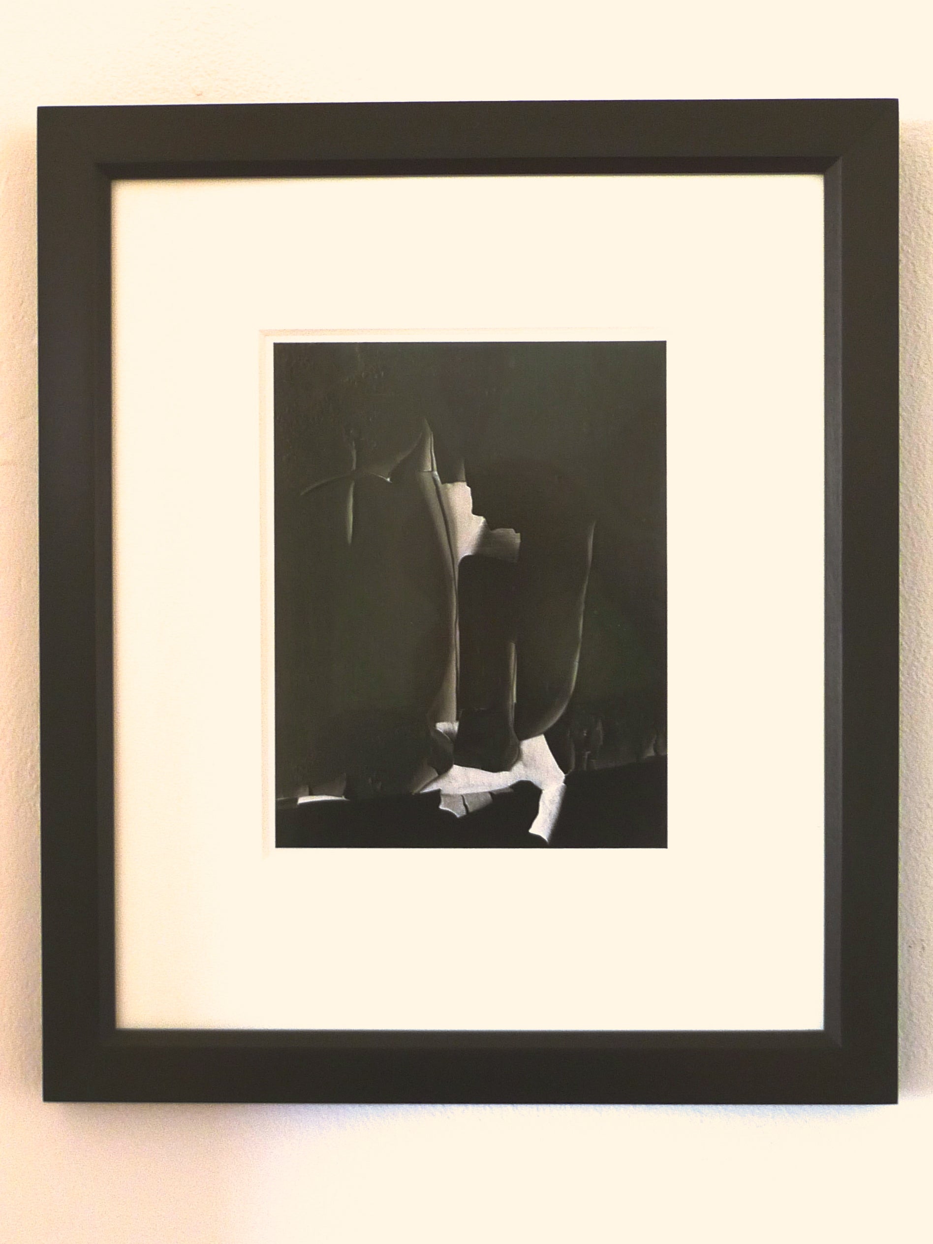 Minor White Vintage Abstract Gelatin Silver Photograph