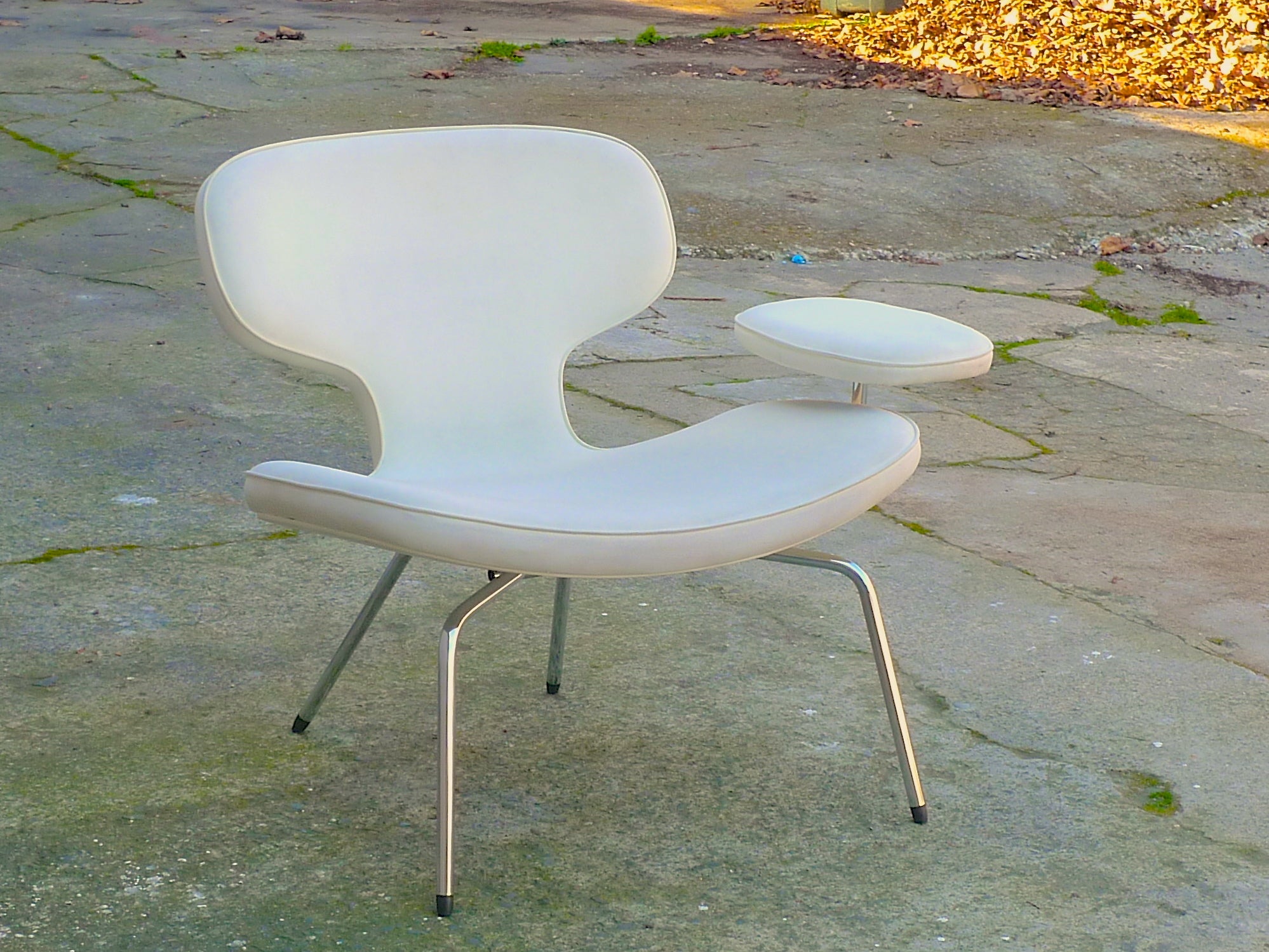 Rene Holten Libel Chair for Artifort