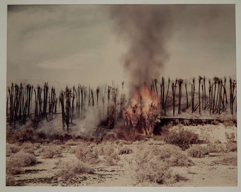 Modern Richard Misrach Desert Fire #1 Burning Palms Desert Cantos Series 1983