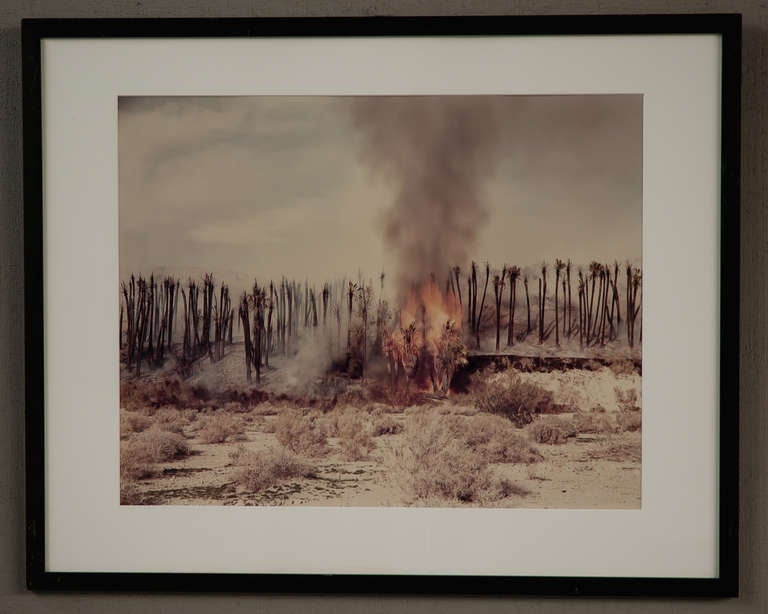 Richard Misrach Vintage Chromogenic Print
Desert Fire #1, Burning Palms from the Desert Cantos Series, 1983
Artist signed and dated lower right; artist title lower left
Color fading as is often the case with vintage color prints, otherwise very