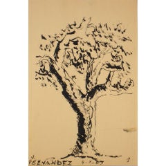 1963 Still Life Ink Drawing of Tree
