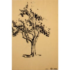 1963 Still Life Ink Drawing of Tree