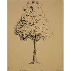 1963 Still Life Ink Drawing of Tree