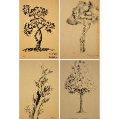 Drawing Collection -  Individually Priced