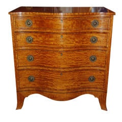 Antique English Satinwood Chest Sheraton Style