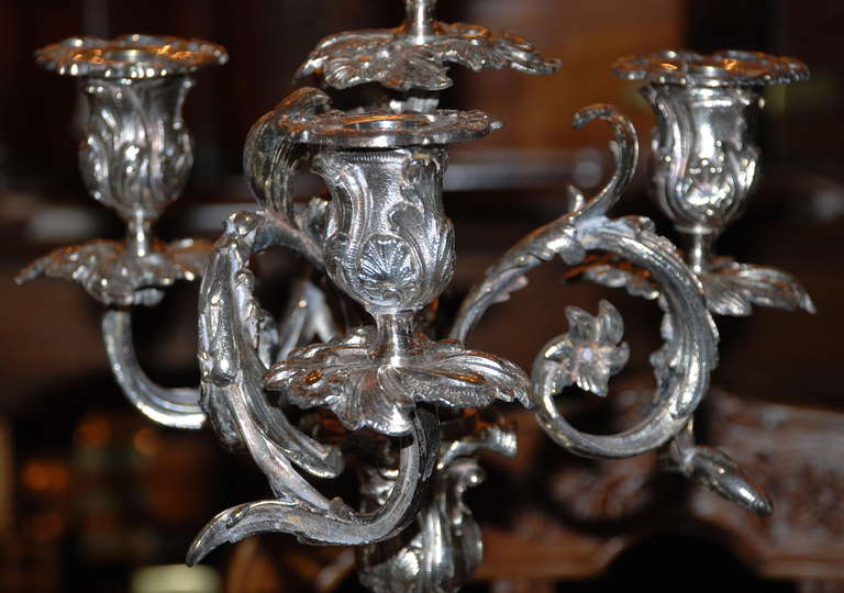 Antique French Candelabra In Excellent Condition In New Orleans, LA
