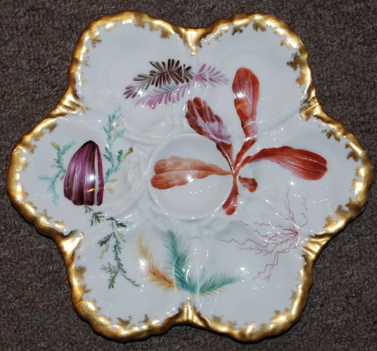 Antique French Limoges Oyster Plate