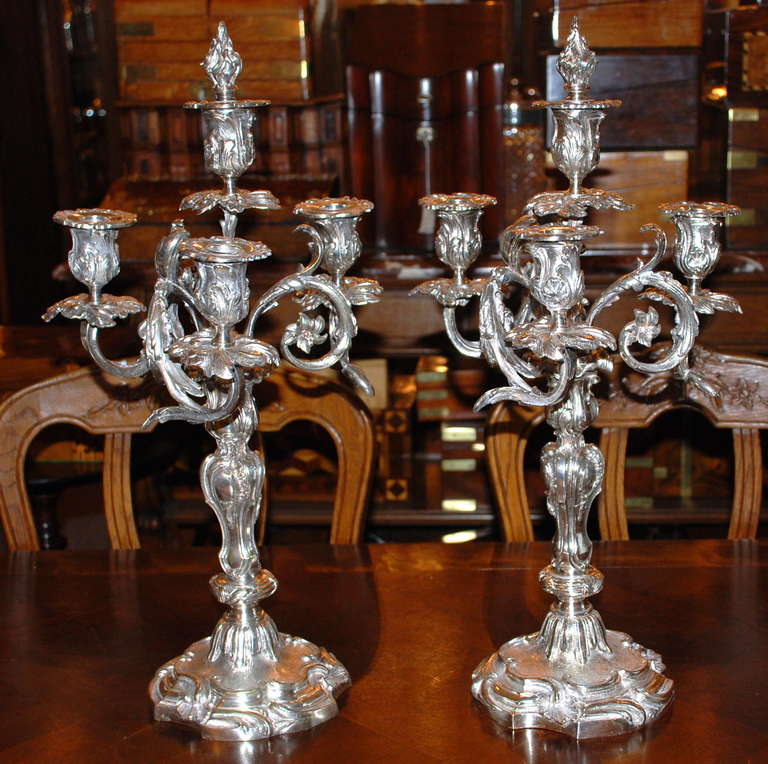 Antique French Louis XV Silvered Bronze Candelabra