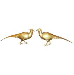 Bronze Pheasants