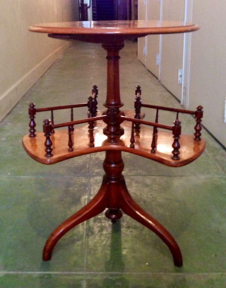 Antique Bookcase at 1stDibs